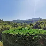 Holiday Mandalena