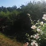 Holiday Mandalena Дом отдыха *