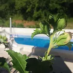 Дом отдыха Holiday Mandalena Бузет