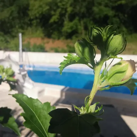 Holiday home Mandalena Buzet